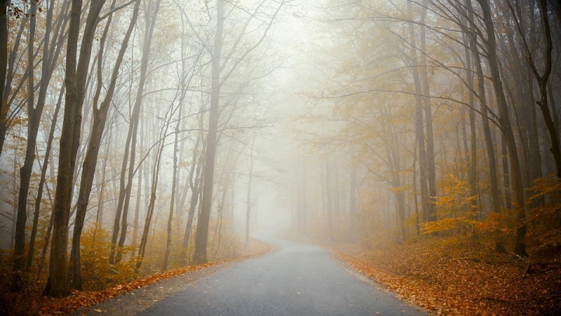 Днес преди обяд в низините равнините и по Черноморието ще