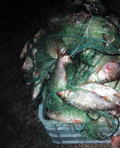 Бракониери са заловени след подаден сигнал към инспектори от ИАРА