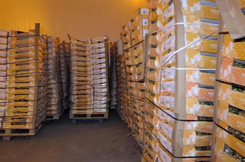 Нидерландската полиция е открила близо 3 тона кокаин и над 11 милиона евро в