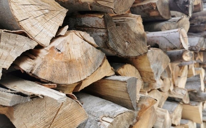 Откриха незаконни дърва в две къщи във Врачанско съобщиха от