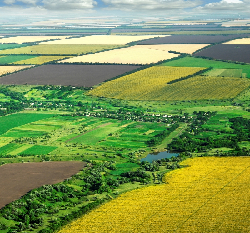 Повече от 10 години Миг Агро Груп ЕООД е водеща