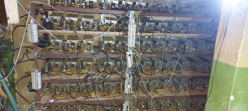 Криминалисти разкриха оранжерия за канабис и неправомерно присъединяване към ел