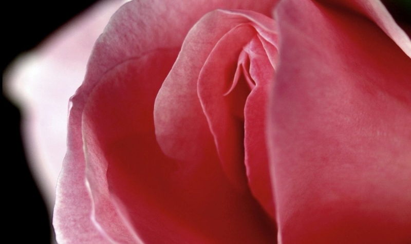 Мъжете обичат да се хвалят с големината на своето достойнство