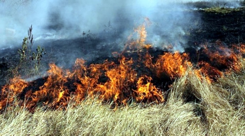 Пожар гори край старозагорското село Малка Верея. Сигнал за огъня