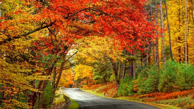 В четвъртък времето отново остава доста по топло от обичайното за