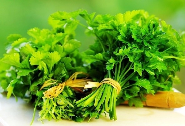 При поддържане на хигиена на устната кухина редовното миене на