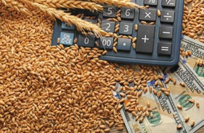 Тази седмица цените на основните зърнени стоки отново поеха надолу