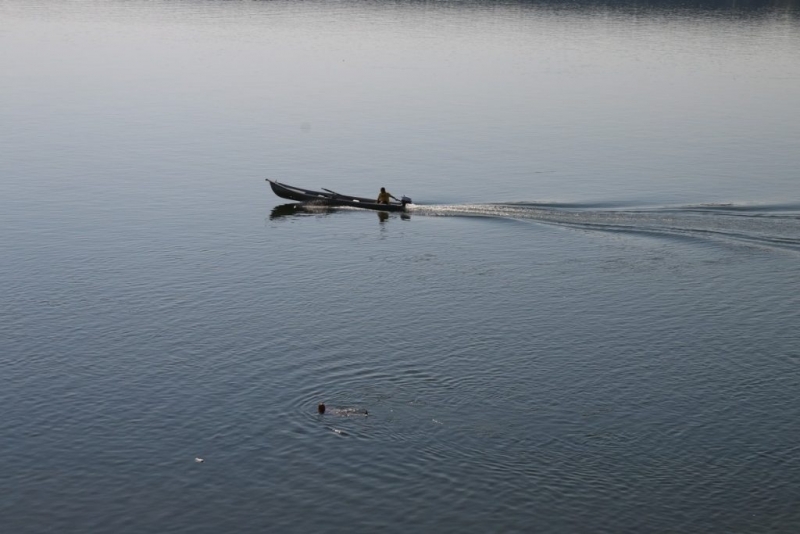 С 14 см се повиши нивото на Дунав в началото