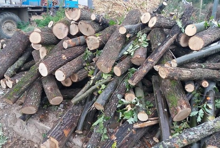 Служители на реда са конфискували незаконни дърва от монтанското село