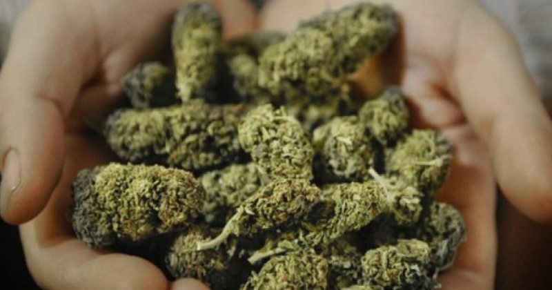 Униформени откриха много канабис в апартамент във Враца научи BulNews