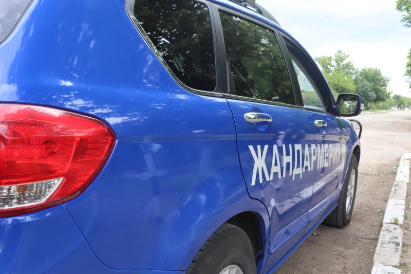 Три престъпления са разкрити при спецакция в Монтанско съобщиха от