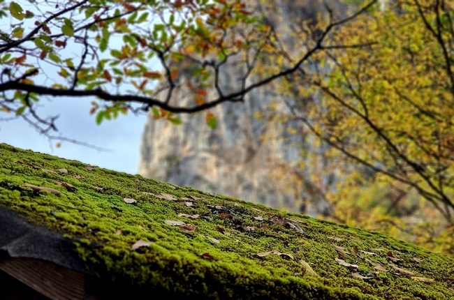 Днес ще бъде предимно слънчево В сутрешните часове главно в