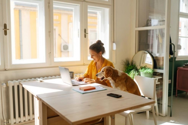 Парламентът прие на първо четене промени в Кодекса на труда