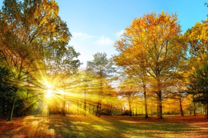 Днес преди обяд ще бъде предимно слънчево В сутрешните часове