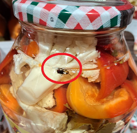 Обичате ли царска туршия Ами туршия с муха Това е