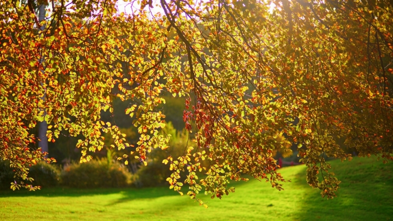 Първата септемврийска седмица завършва с прохладно време и температури характерни