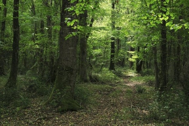 Държавата започва четвърта поред кампания за закупуване на поземлени имоти
