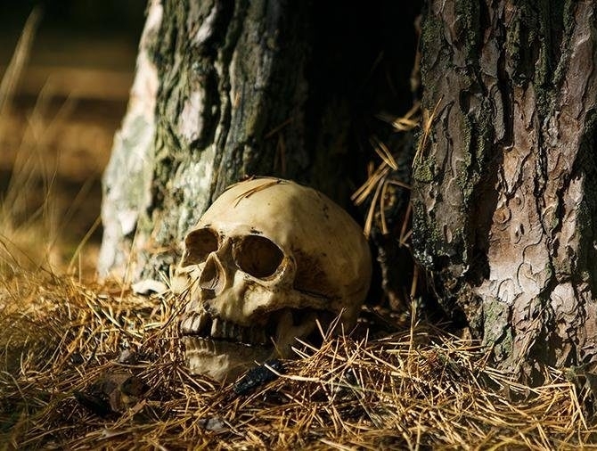 Зловеща находка бе открита от пловдивчанка по време на туристически