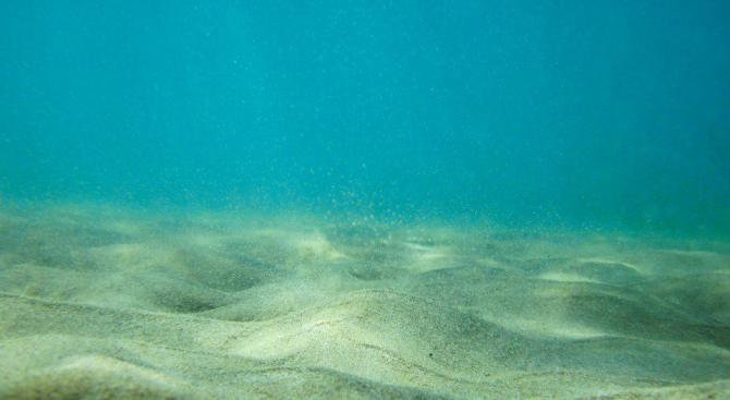 Солеността на Черно море дестабилизира дъното му