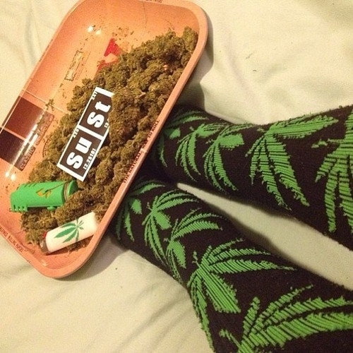 Полицейски служители са извършили обиск на къща във Видинско при