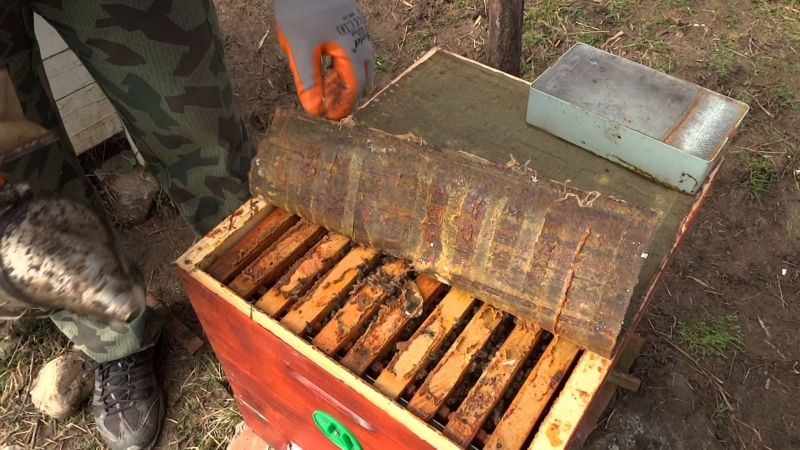 Кражба на два пчелни кошера е извършена в землището на