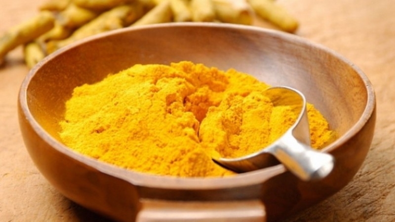 Куркумата принадлежи към семейство Джинджифилови и може да достигне до