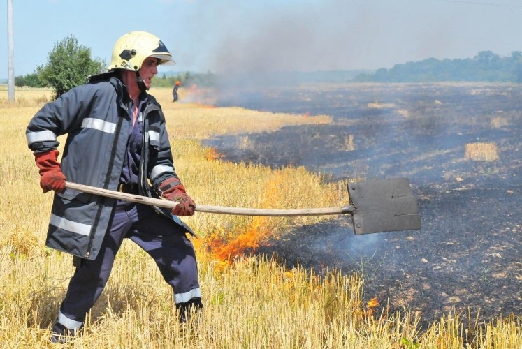 Пожар изпепели пшенична нива във Врачанско съобщиха от полицията в