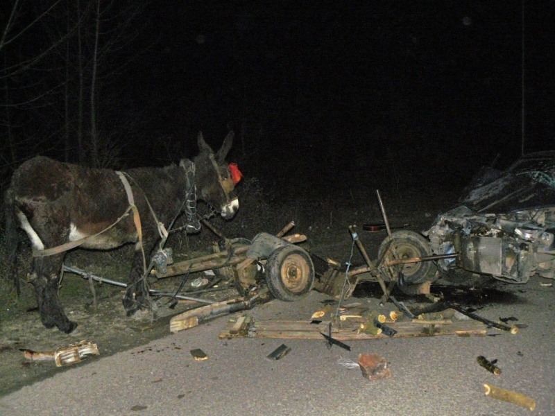 Катастрофа между кола и каруца е станала край монтанското село