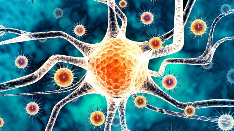 В област Добрич обявиха грипна епидемия Временните противоепидемични мерки ще