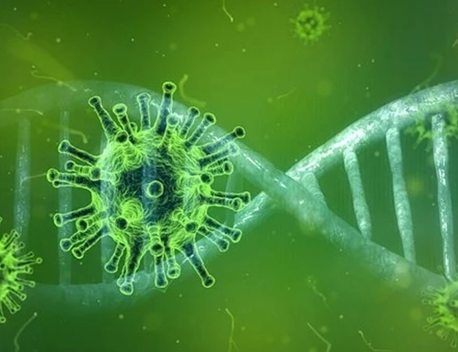 Правителството на Чехия обяви днес че налага строг локдаун в