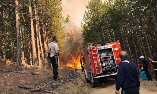 Гора на държавно горско стопанство в Оряхово е била запалена съобщиха