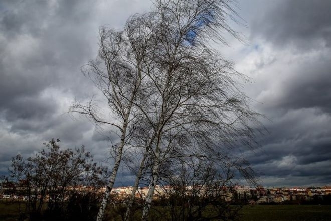 В неделя ще бъде ветровито с умерен в много райони
