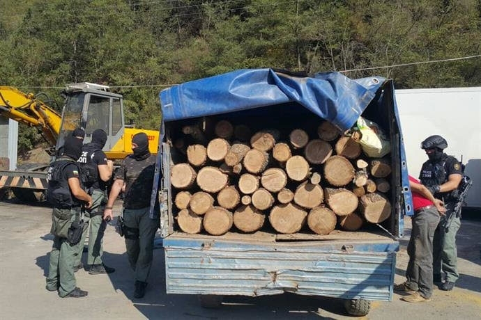Служители на реда са хванали мъж да транспортира незаконни дърва