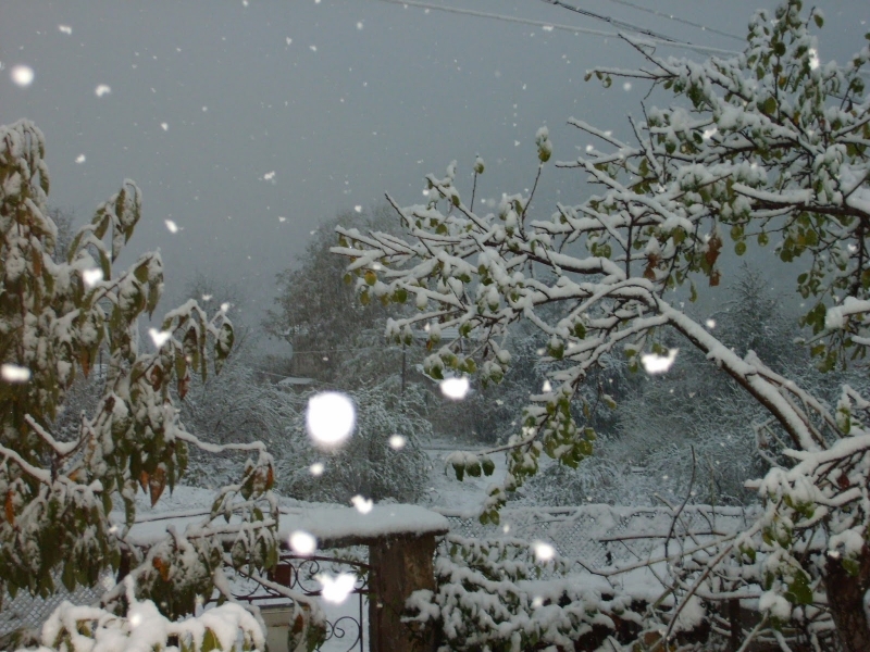 Днес в Северна България и високите полета ще вали сняг и