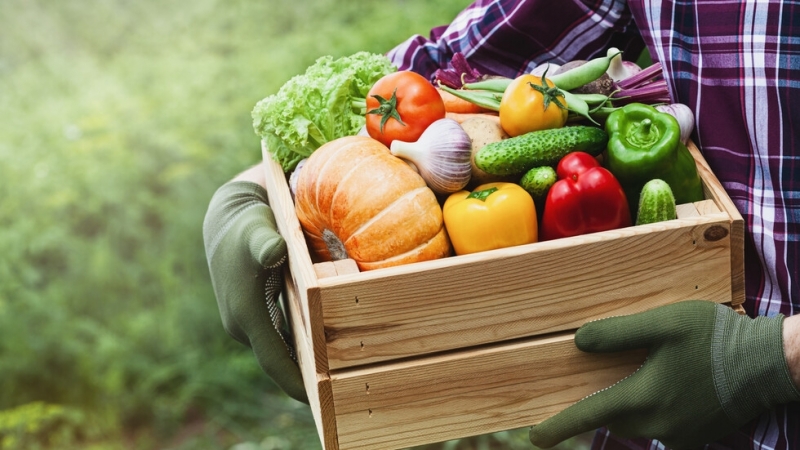 Диетологът Наталия Пугачева изброи зеленчуци които трябва да се консумират