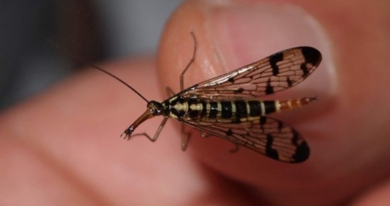 Международна група изследователи в областта на медицината от Кения САЩ