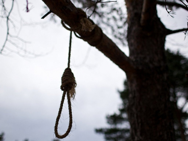 Сцена достойна за филм на ужасите се разиграла днес в