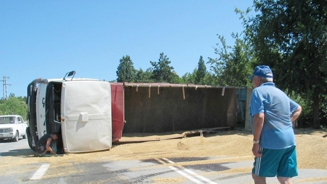 ТИР се обърна и разпиля жито на междуселски път във