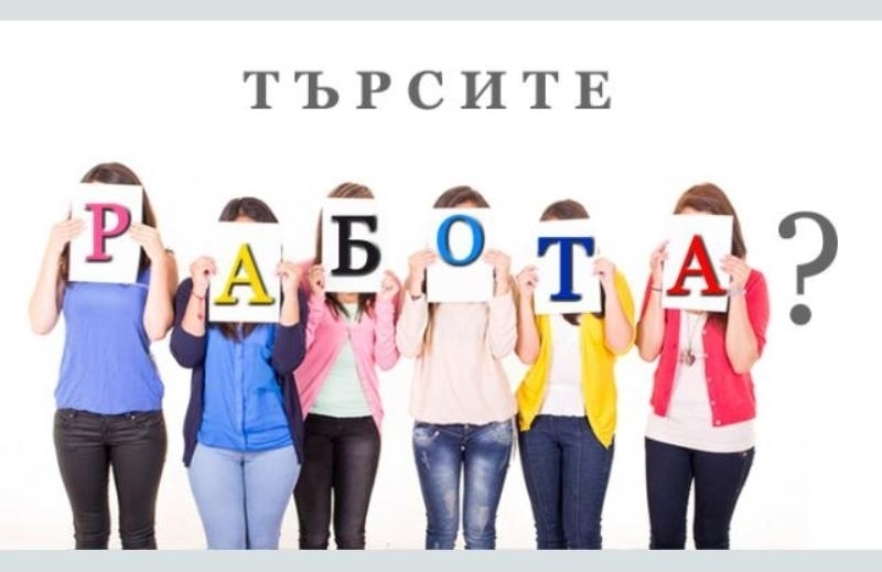 Вижте списъка със свободни работни места в област Видин