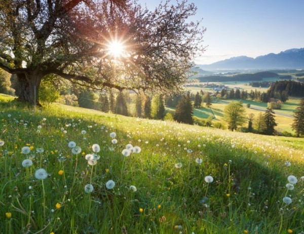 Средната месечна температура през юни ще бъде около и над