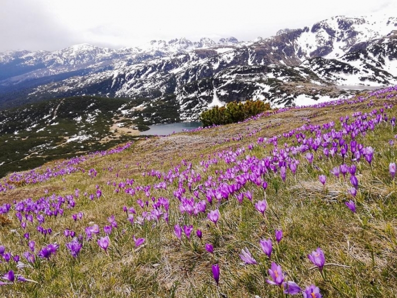 От утре: Времето се разваля, по планините ще вали сняг