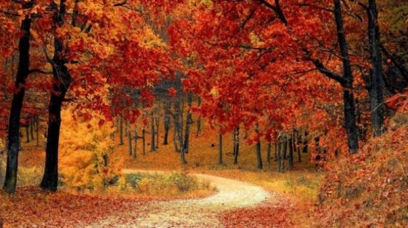 През нощта облачността над по голямата част от страната ще намалее