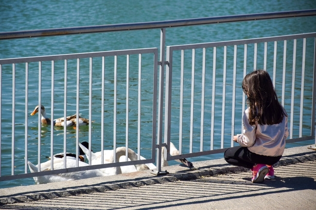 Днес ще преобладава слънчево време с временни увеличения на облачността