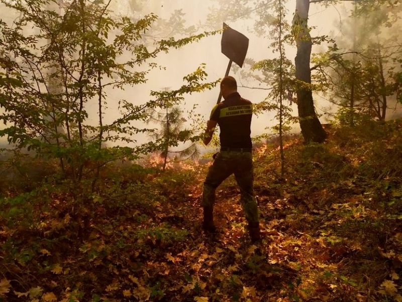 Голям пожар в Румъния задими центъра на Русе В съседния