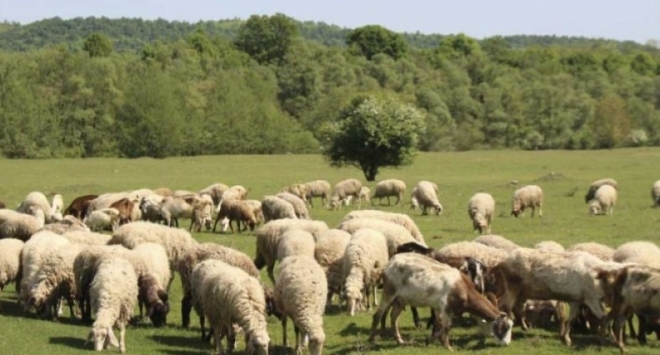 Със своя заповед днес директорът на Българската агенция по безопасност