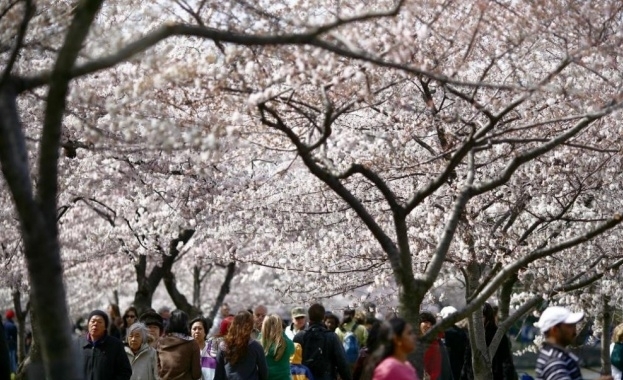 Десетки разноцветни хвърчила полетяха в небето и смях изпълни парковете