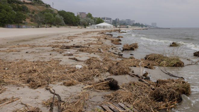 Плажовете в Одеса са обявени за негодни за къпане поради