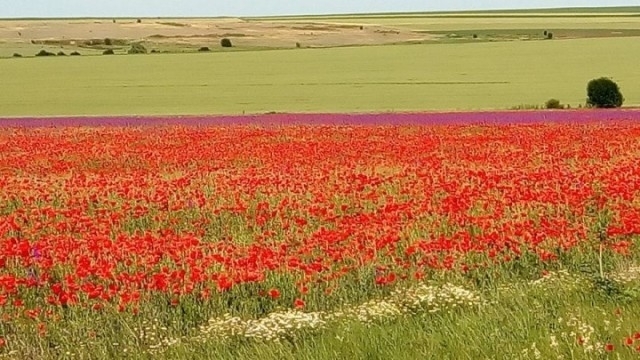 Днес ще е топло около и след обяд в низините