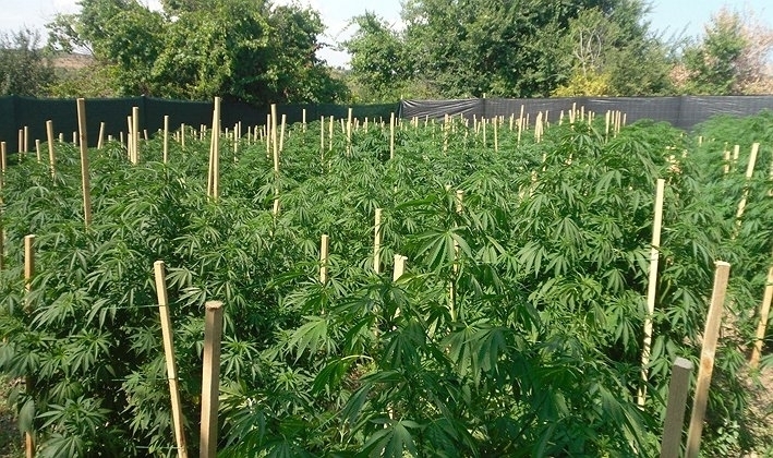 Районната прокуратура в Бяла Слатина е предала на съд Г К