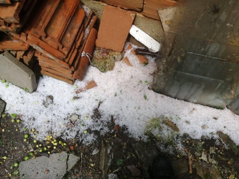 Градушка е помляла ниви и градини в монтанското село Горна